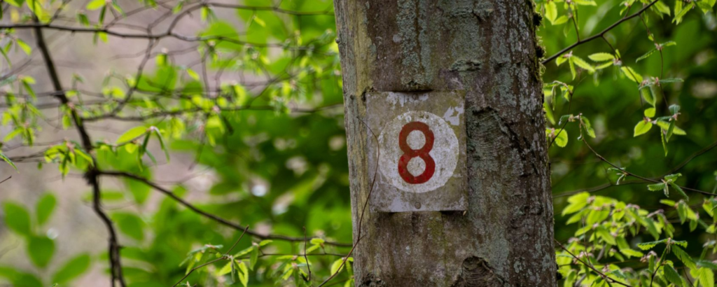 тайна числа 8