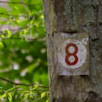 тайна числа 8