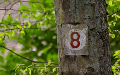 Тайна числа 8